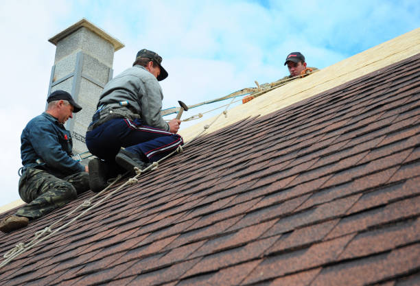 Best Roof Waterproofing Services  in Salem, IN