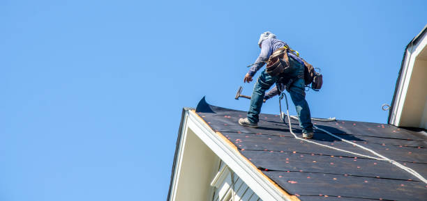 Best Roof Leak Repair  in Salem, IN